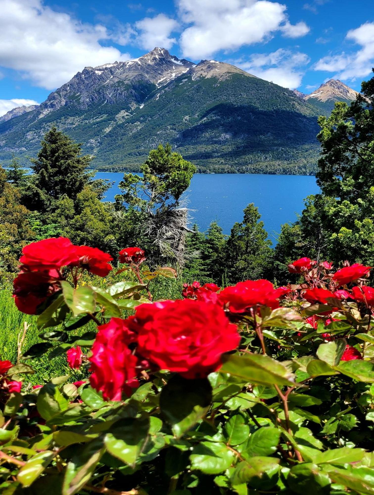 El Mirador De Montana Chalet